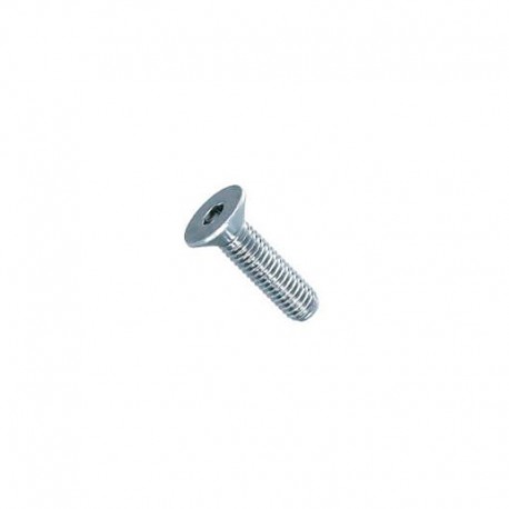 TORNILLO ACERO INOX. DIN-7991 A2 10X20