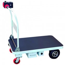 CARRO ELÉCTRICO PLE 300 1000X600 300KGS