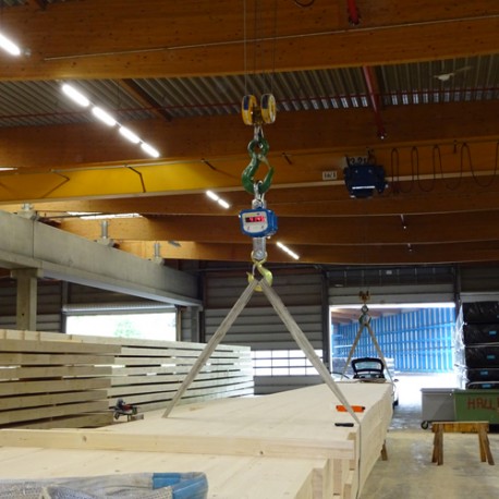 OFERTA EN BALANZA COLGANTE PCE-CS 10000N