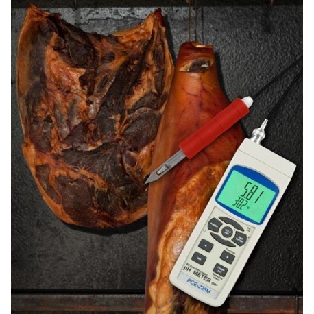 OFERTA EN PH-METRO PCE 228M