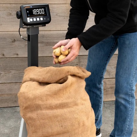 MEJOR PRECIO PCE BALANZA CON VERIFICACIÓN PCE-MS PP150-1-60X70-M