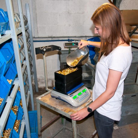 OFERTA EN BALANZA PARA INVENTARIO PCE-PCS 6