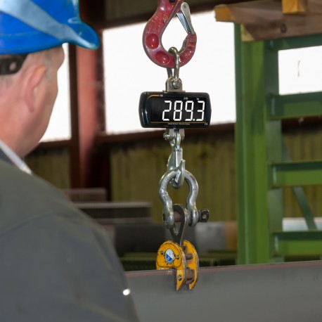 DISTRIBUIDOR PCE BALANZA COLGANTE PCE-CS 500LD