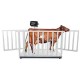 BALANZA INDUSTRIAL VERIFICADA PCE-MS AC3T-1-100X200-M