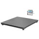 BALANZA DE PLATAFORMA PCE-RS 2000-ICA