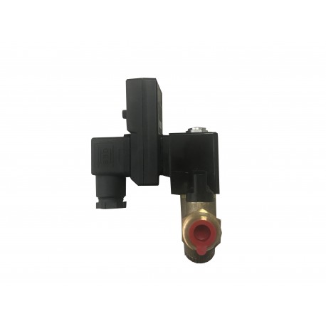 PURGA TEMPORIZADA JENDER