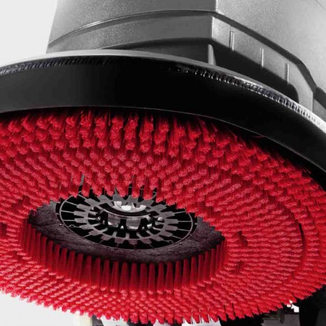 Cepillo de la fregadora BD 50/50