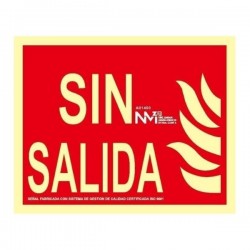SEÑAL LUMINISCENTE SIN SALIDA CLASE B PVC RD01100 NORMALUZ