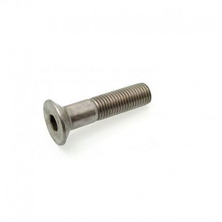 TORNILLO ACERO INOX. A2 D-7991 M-4 X 10