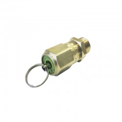 VÁLVULA DE SEGURIDAD TARADO FIJO 10 MM Ø AIGNEP
