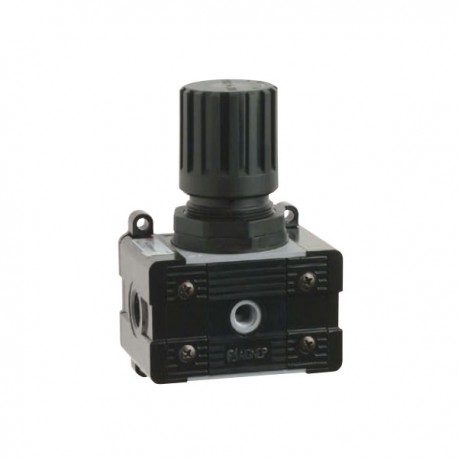 REGULADOR DE PRESIÓN 0-8 BAR PARA FRL TAMAÑO REG1 REF. T020 AIGNEP