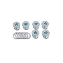Kit de 6 tapones de aceite y arandelas 1495T M13X1,25