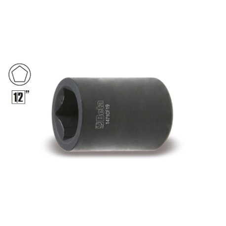 Llaves de vaso pentagonal para pinzas de frenos 1471CF 19