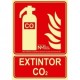 Señal Extintor CO2 PVC 1 mm Clase A 210x300 mm