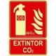 Señal ""Extintor CO2"" PVC 0,7 mm Clase B 210x300 mm  Normaluz"