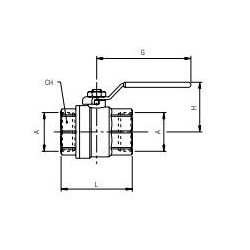VALVULA BOLA INOX HEMBRA HEMBRA 1 1/2 PULGADAS REF. AIGNEP 6067I 11/2