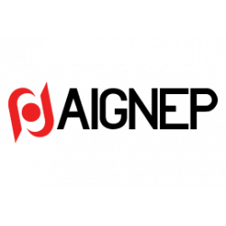 PISTOLA EN TECNOPOLIMERO 1/4 PULGADAS REF. AIGNEP 27P