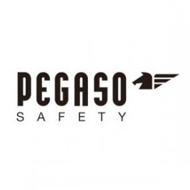 PEGASO SAFETY